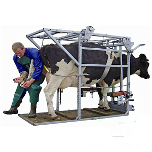 Станок для обрезки копыт