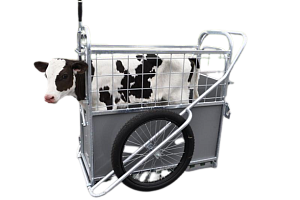 Тележка для перевозки телят (производство ООО "Верагодна")