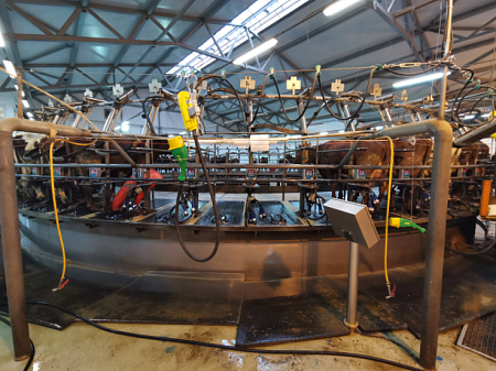 Система для обработки сосков перед доением Puli-Sistem F71