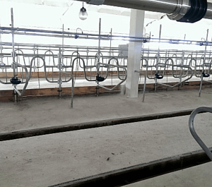 Комбибоксы